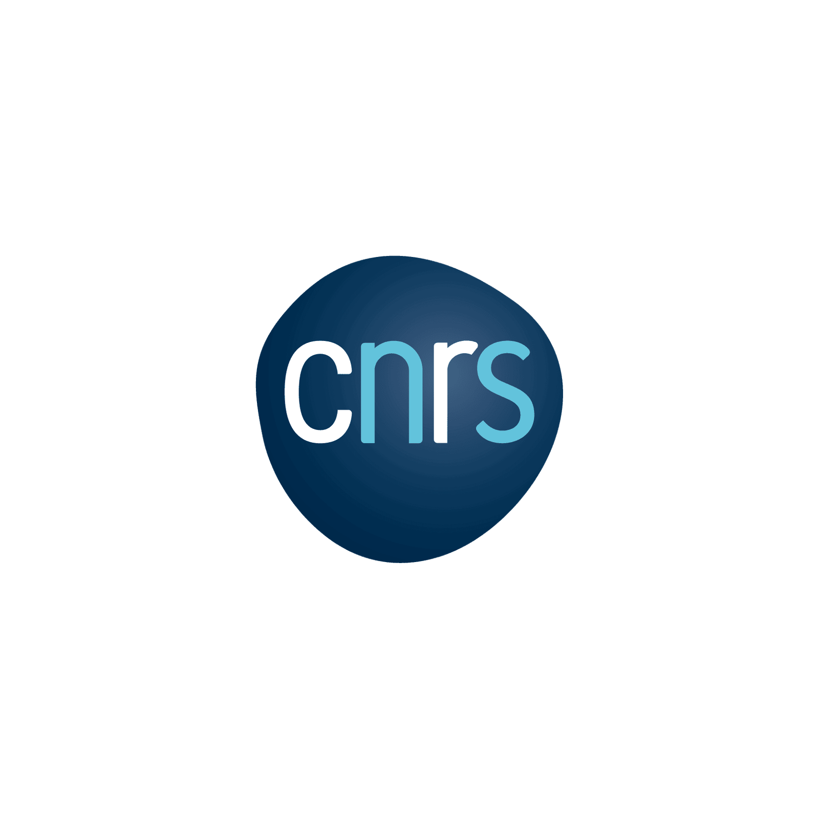 CNRS Logo