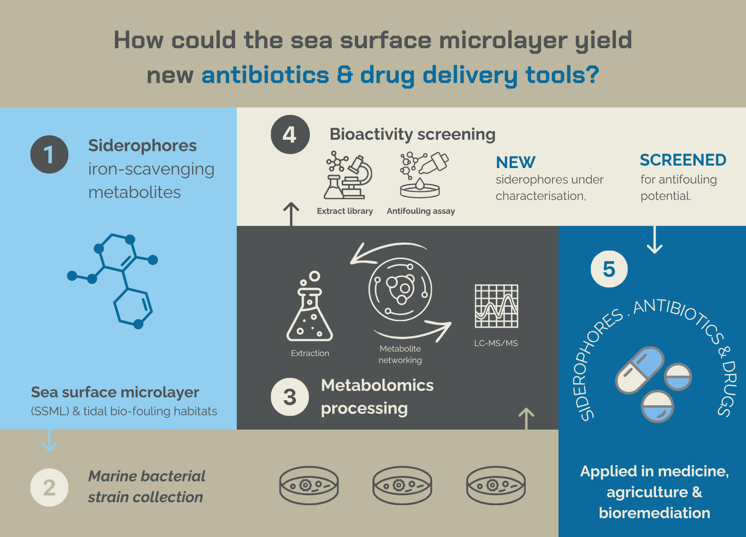 Siderophores from the Sea Surface: A EUREMAP Demonstrator Project